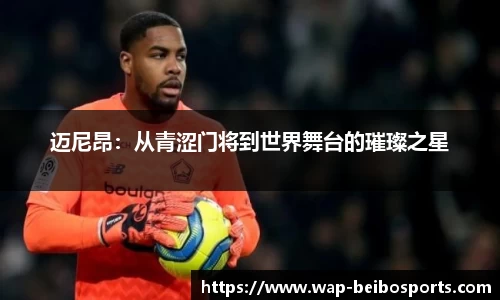 迈尼昂：从青涩门将到世界舞台的璀璨之星